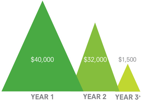 $+per+year